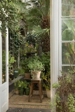 Bergs Potter Copenhagen Pot Rose, 12 Cm 12 Bergs Potter Copenhagen Pot Rose, 12 Cm -Hay Store bergs potter copenhagen pot rose 3