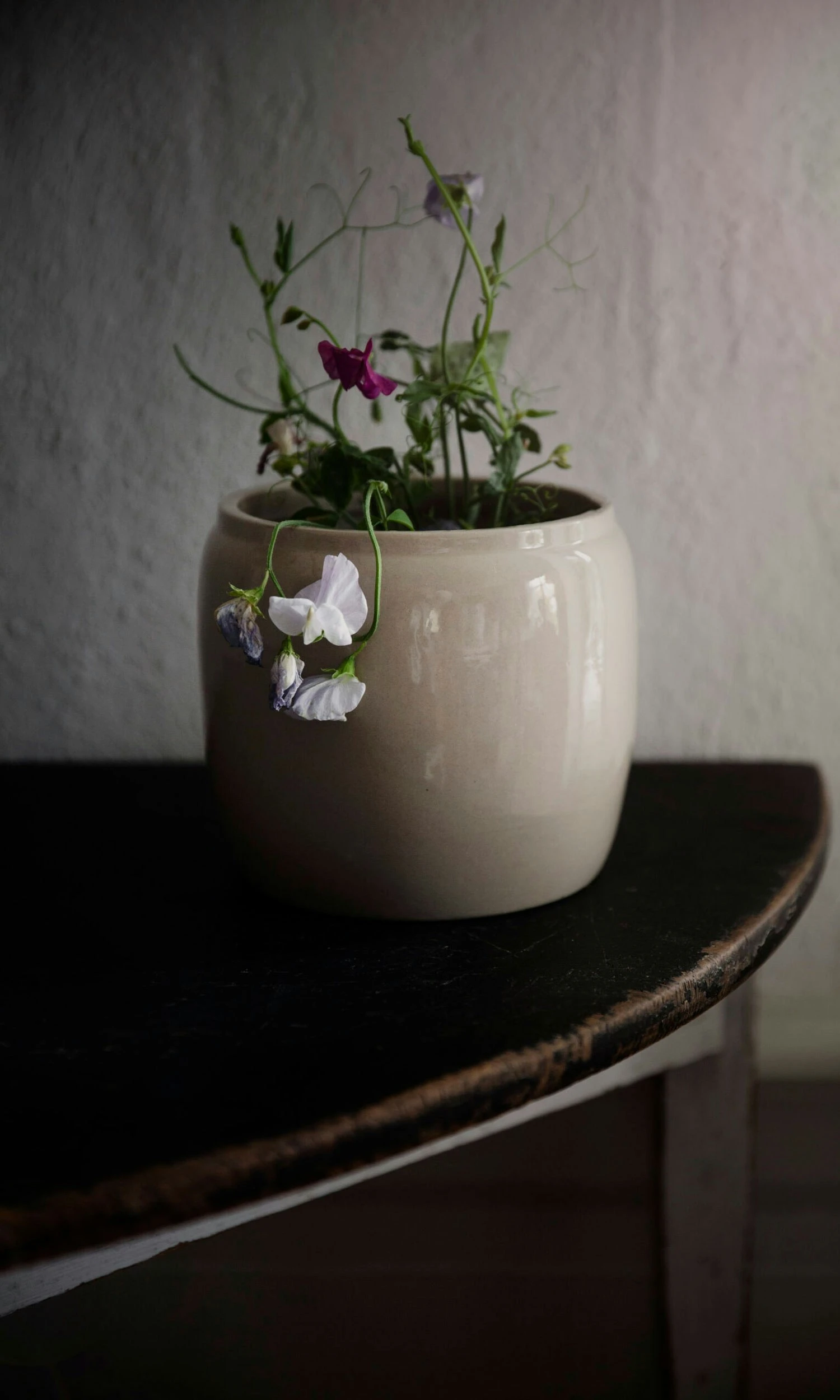 Ernst Pot Glazed Stoneware Ø14 Cm, Beige 4 Ernst Pot Glazed Stoneware Ø14 Cm, Beige - Image 2