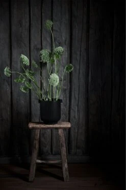 Ernst Pot With Ears H14 Cm, Black 8 Ernst Pot With Ears H14 Cm, Black -Hay Store ernst pot with ears black 1