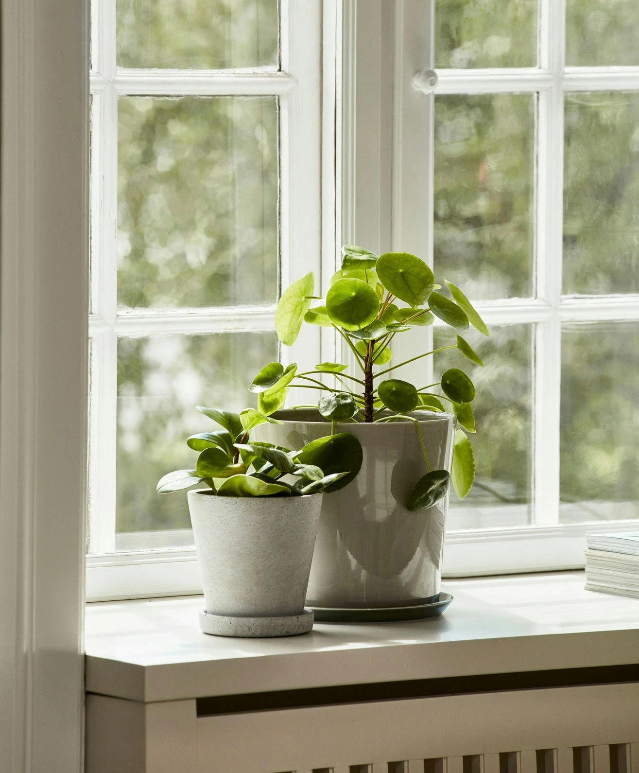 Hay Flowerpot With Saucer Grey, Ø11 Cm S 4 Hay Flowerpot With Saucer Grey, Ø11 Cm S - Image 2