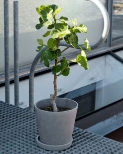 Hay Flowerpot With Saucer Grey, Ø14 Cm M 10 Hay Flowerpot With Saucer Grey, Ø14 Cm M -Hay Store hay flowerpot pot with saucer grey 2 1