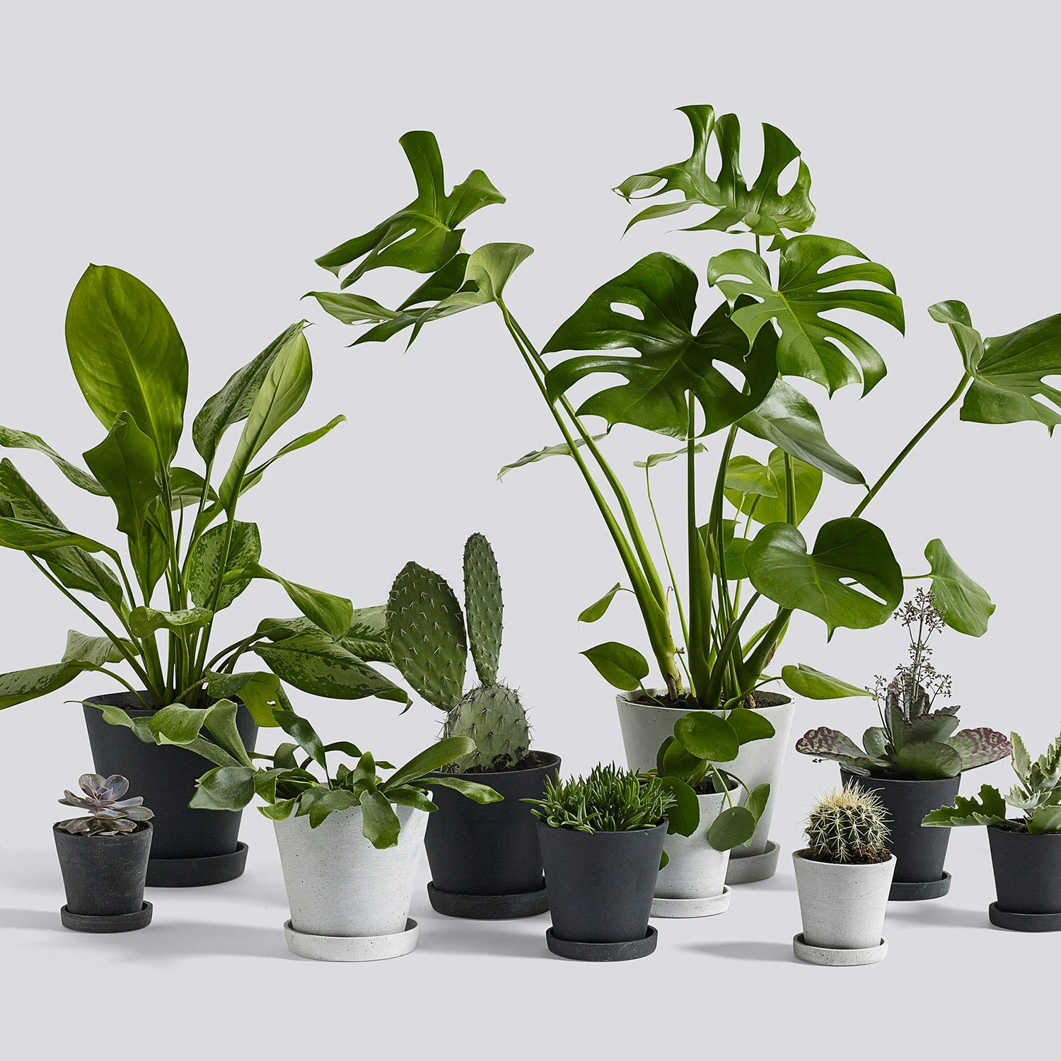 Hay Flowerpot With Saucer Black, Ø21.5 Cm XL 4 Hay Flowerpot With Saucer Black, Ø21.5 Cm XL - Image 2