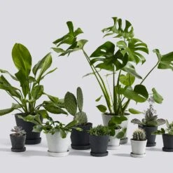 Hay Flowerpot With Saucer Grey, Ø14 Cm M 13 Hay Flowerpot With Saucer Grey, Ø14 Cm M -Hay Store hay flowerpot with saucer grey 3 1