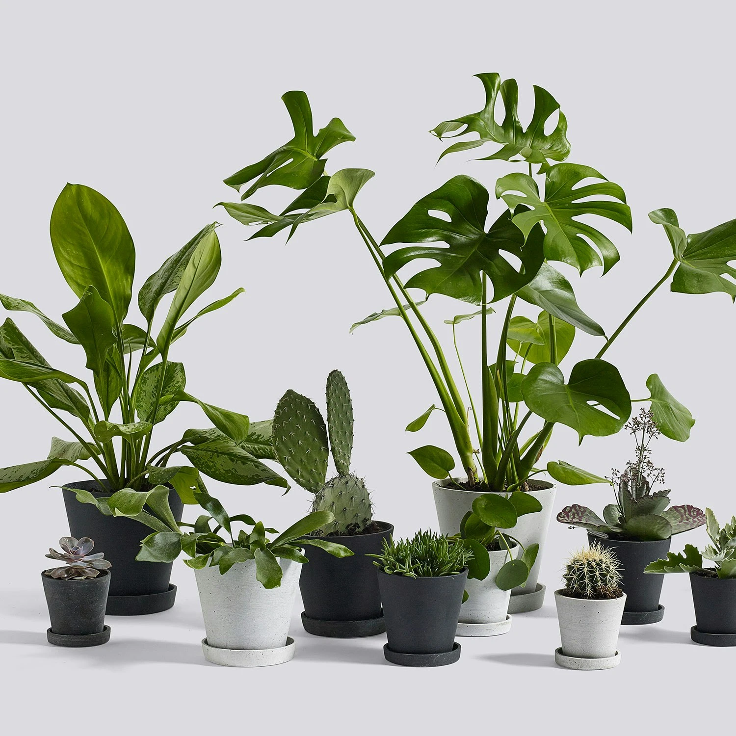 Hay Flowerpot With Saucer Grey, Ø14 Cm M 8 Hay Flowerpot With Saucer Grey, Ø14 Cm M - Image 6