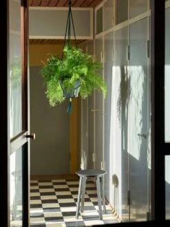 Hay Phanta Plant Hanger, Green -Hay Store hay phanta plant hanger 4