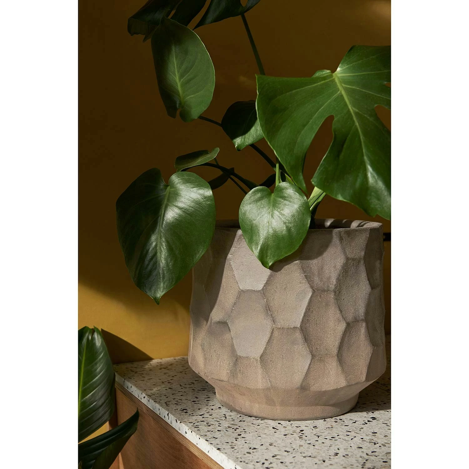 Kähler Gro Flowerpot 21,5 Cm, Light Sand 6 Kähler Gro Flowerpot 21,5 Cm, Light Sand - Image 4