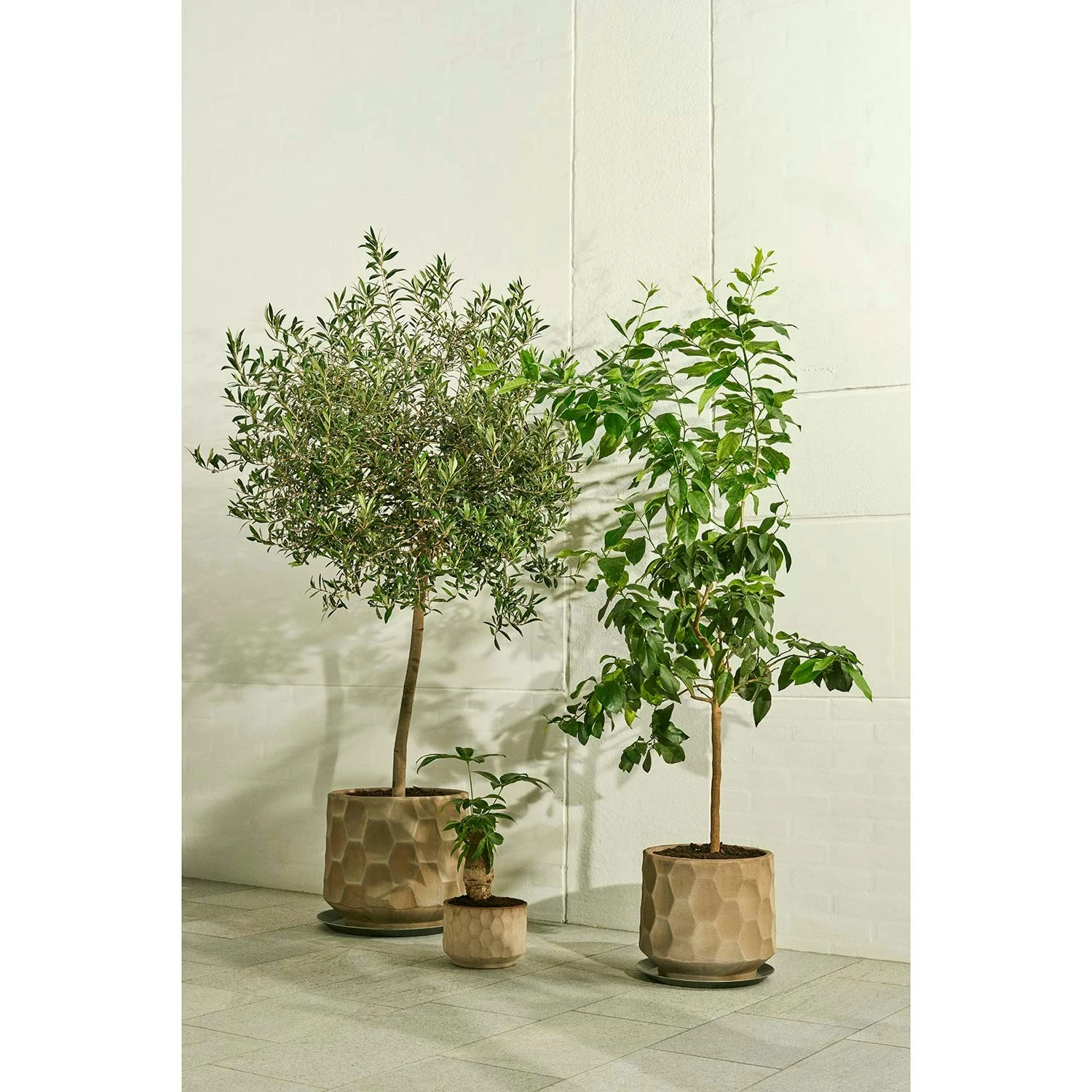 Kähler Gro Flowerpot 21,5 Cm, Light Sand 4 Kähler Gro Flowerpot 21,5 Cm, Light Sand - Image 2