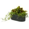 Korbo Flower Box 49x20 Cm, Acid-proof Stainless Steel -Hay Store korbo balcony basket 2