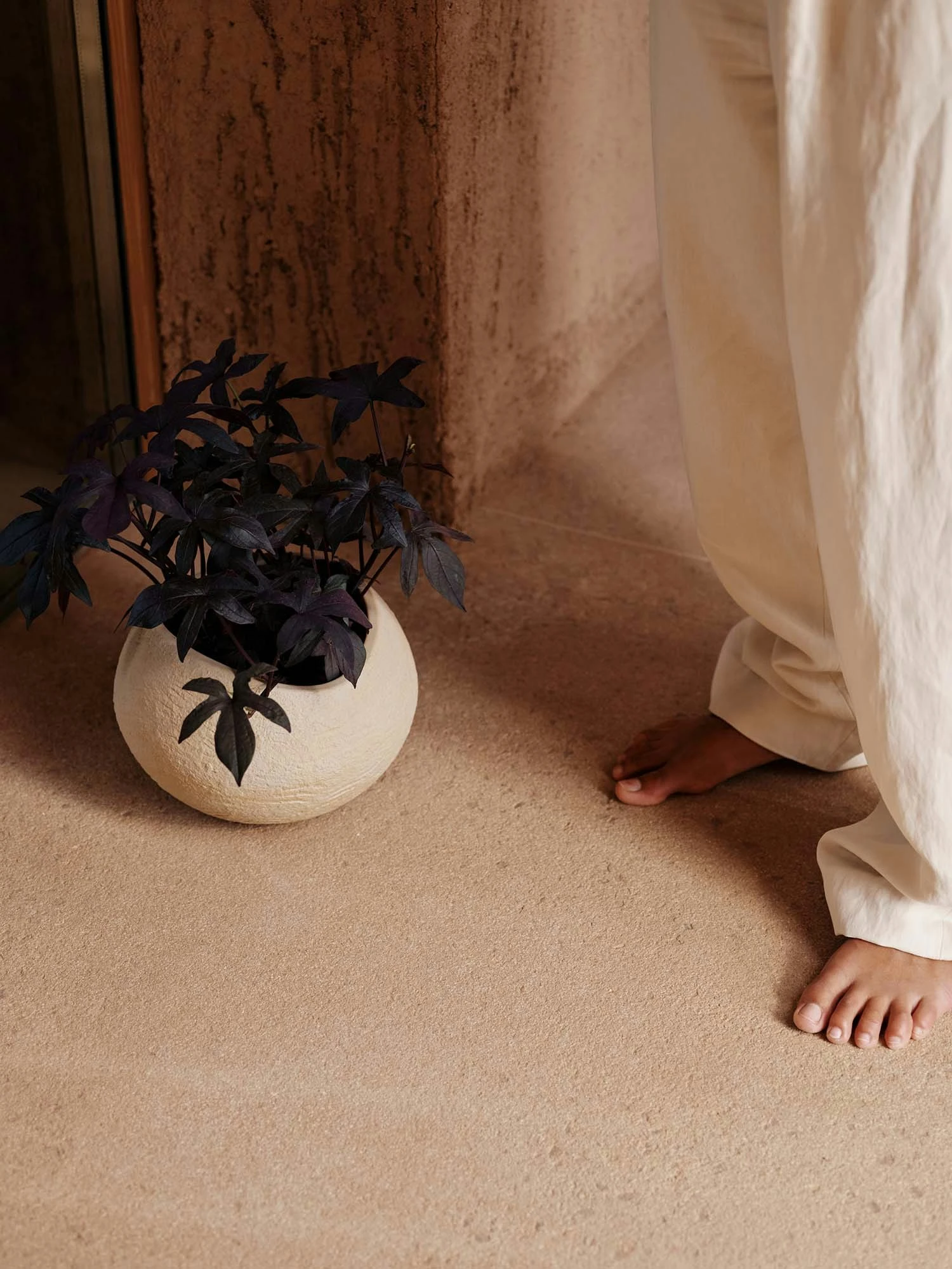 Menu Plantas Planter Ivory, 17 Cm 5 Menu Plantas Planter Ivory, 17 Cm - Image 3