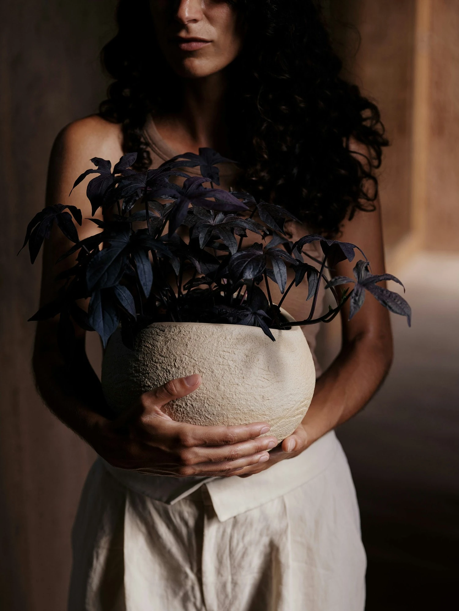 Menu Plantas Planter Ivory, 26 Cm 7 Menu Plantas Planter Ivory, 26 Cm - Image 5