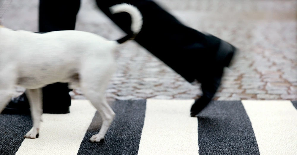 Bob Rug 70x280 Cm, Black/Vanilla 4 Bob Rug 70x280 Cm, Black/Vanilla - Image 2