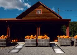 Ella Rug 70x300 Cm, Black/Vanilla -Hay Store pappelina ella rug black vanilla 2