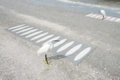 Ella Rug 70x300 Cm, Black/Vanilla -Hay Store pappelina ella rug black vanilla 3