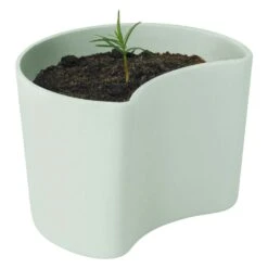 RIG TIG Your Tree Degradable Pot With Seed, Green