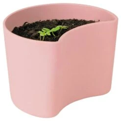RIG TIG Your Tree Degradable Pot With Seed, Pink