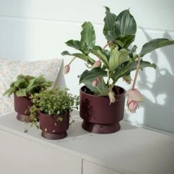 Ro Pot Bordeaux, 12 Cm -Hay Store rosendahl copenhagen ro pot bordeaux 2 1