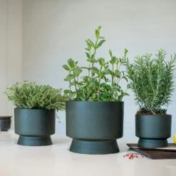 Ro Pot Dark Green, Ø12 Cm 9 Ro Pot Dark Green, Ø12 Cm -Hay Store rosendahl copenhagen ro pot dark green 1