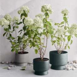 Ro Pot Dark Green, Ø12 Cm 10 Ro Pot Dark Green, Ø12 Cm -Hay Store rosendahl copenhagen ro pot dark green 14