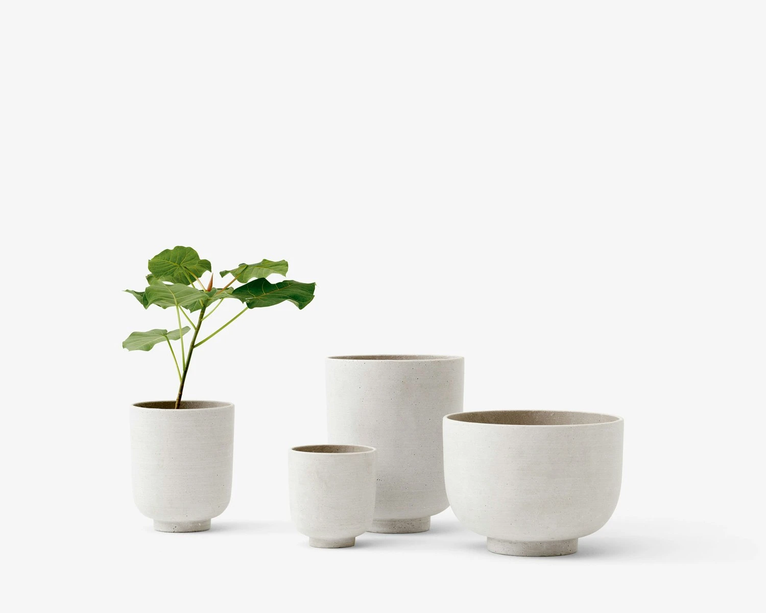 &Tradition Collect SC69 Planter SC69 Ø12x13 Cm, Milk 4 &Tradition Collect SC69 Planter SC69 Ø12x13 Cm, Milk - Image 2