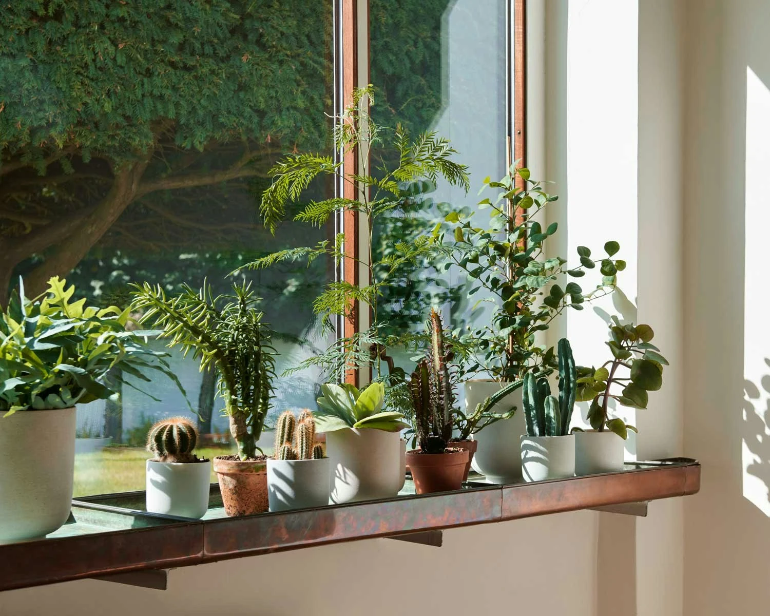 &Tradition Collect SC69 Planter SC69 Ø12x13 Cm, Milk 5 &Tradition Collect SC69 Planter SC69 Ø12x13 Cm, Milk - Image 3