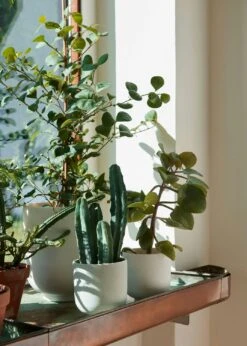 &Tradition Collect SC69 Planter SC69 Ø12x13 Cm, Milk 11 &Tradition Collect SC69 Planter SC69 Ø12x13 Cm, Milk -Hay Store tradition collect planter sc69 dia12 x h13 cm 18