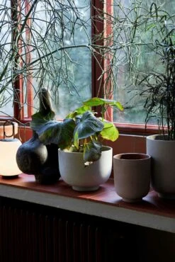 &Tradition Collec Planter Ø12x13 Cm, Silver -Hay Store tradition collect planter sc69 dia12 x h13 cm 2 4