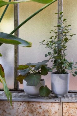 &Tradition Collect Planter Ø15x18 Cm, Sage -Hay Store tradition collect planter sc70 dia15 x h18 cm 3 2