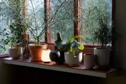 &Tradition Collect SC71 Planter Ø24x18 Cm, Ochre 10 &Tradition Collect SC71 Planter Ø24x18 Cm, Ochre -Hay Store tradition collect planter sc71 dia24 x h18 cm 2 1